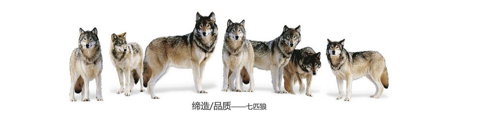 七匹狼